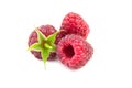 Fresh raspberry fruit isolated on white background. Three red sweet raspberries Royalty Free Stock Photo