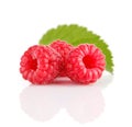 Fresh raspberry fruits with green leaves