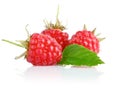 Fresh raspberry fruits with green leaves Royalty Free Stock Photo