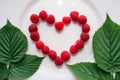 Fresh raspberry in the heart shape Royalty Free Stock Photo