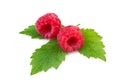 Fresh raspberry with leaf on white Royalty Free Stock Photo