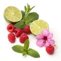 Fresh Raspberry Lime Mint Hibiscus isolated on white background Royalty Free Stock Photo