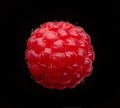 Fresh raspberry macro