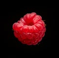 Fresh raspberry macro