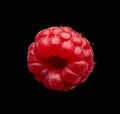 Fresh raspberry macro