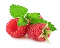 Fresh Raspberry With Mint Leaf Isolated on White Background in Closeup Royalty Free Stock Photo