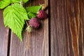 Fresh raspberry, red berries with green leaves on wooden table Royalty Free Stock Photo