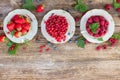 Fresh raspberry , red currand and strawberry Royalty Free Stock Photo