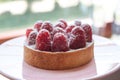 Fresh raspberry tartlet