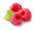 Fresh raspberry Royalty Free Stock Photo