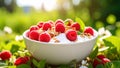 Fresh raspberry yogurt with granola in a white bowl on green grass Royalty Free Stock Photo