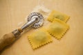 Fresh Ravioli Royalty Free Stock Photo