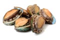 Fresh Raw abalone Royalty Free Stock Photo