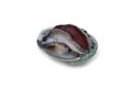 Fresh raw abalone