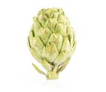 Fresh raw Artichoke flower isolated on white Royalty Free Stock Photo