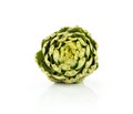 Fresh raw Artichoke flower isolated on white Royalty Free Stock Photo