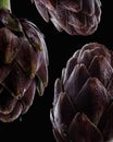 Fresh raw artichokes on black background. Royalty Free Stock Photo