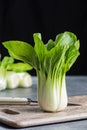 Fresh raw baby Bok choy or pak choi Chinese cabbage Royalty Free Stock Photo