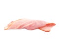 Fresh raw bacon slice on background Royalty Free Stock Photo