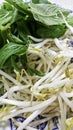 Fresh raw bean sprouts and basil served on a plate