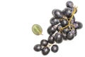 Fresh raw black grape isolated on white