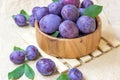 Fresh raw blue and violet plums in wooden bowl with green leaves on light paper background. Royalty Free Stock Photo