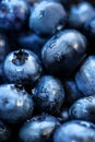 Fresh raw blueberries with waterdrops, blue summer background Royalty Free Stock Photo