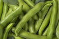 Fresh raw broad beans in the pod Royalty Free Stock Photo