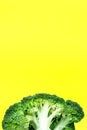 Fresh raw broccoli half on a yelloy background.