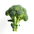 Fresh raw broccoli ingredient for cooking recipe chef Generative AI Illustration