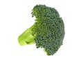 Fresh raw broccoli isolated on white background Royalty Free Stock Photo