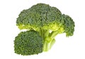 Fresh raw broccoli, two pieces isolated on a white background Royalty Free Stock Photo