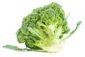 Broccoli vegetable isolated on white background Royalty Free Stock Photo