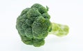 Fresh raw broccoli on white background. Royalty Free Stock Photo