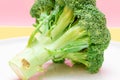 Fresh and Raw Broccoli on White Dish. Uncooked Green Cabbage