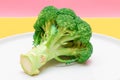 Fresh and Raw Broccoli on White Dish. Uncooked Green Cabbage