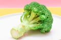 Fresh and Raw Broccoli on White Dish. Uncooked Green Cabbage