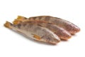 Fresh raw butterfishes Royalty Free Stock Photo