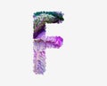Fresh raw cabbage vegetable letter F, healthy salad food alphabet, isolated design element
