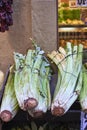 Fresh raw cardoon on a market.