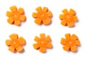 Fresh raw carrot flowers Royalty Free Stock Photo