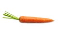 Fresh raw carrot Royalty Free Stock Photo