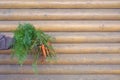 Fresh raw carrots in farmer hand. Hand holding bunches of carrots on a wooden background. The theme of gardening. Royalty Free Stock Photo