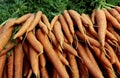 Fresh raw carrots for sale in a farmer`s market stall Royalty Free Stock Photo