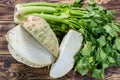 Fresh raw celeriac root head and celery green crisp petiole, ing