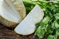 Fresh raw celeriac root head and celery green crisp petiole, ing