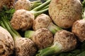 Fresh raw celery roots as background, closeup Royalty Free Stock Photo