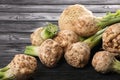 Fresh raw celery roots black wooden table Royalty Free Stock Photo