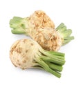 Fresh raw celery roots isolated on white