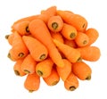 Fresh Raw Chantenay Carrots Royalty Free Stock Photo